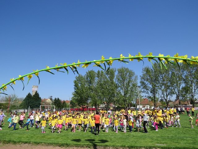 Nárcisz futás 2018 082